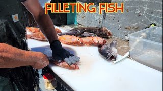 How To Fillet A Rock fish and Lingcod fish  Fishing Exciting and colorful fish Part 2 [upl. by Siulesoj]