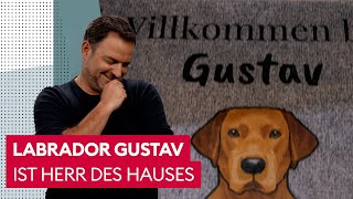 Prinz Gustav tanzt seinen Herrchen auf der Nase herum  Der Hundeprofi [upl. by Yessydo290]