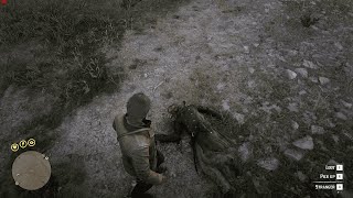 Arthur Morgan Gets Full Revenge  RDR2 Perfect Ending [upl. by Mita152]