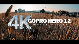 GoPro Hero 12 Cinematic Video Test  Log HDR and Standard [upl. by Raeann482]