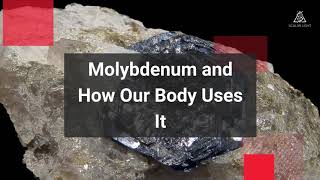 Molybdenum and How Our Body Uses It [upl. by Raseda]