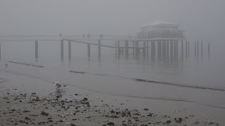 Ostseetrip im Nebel  Trek along the Baltic coast with snow and fog Teil 22 [upl. by Artiek]