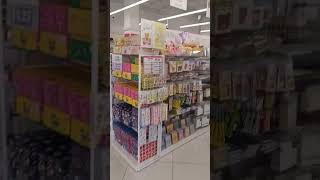 Daiso store in Texas daiso vlog [upl. by Siaht]