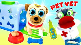 Fizzy The Pet Vet Helps His Fuzzy Friends Get Better LIVE [upl. by Celie]