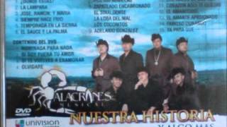 alacranes musical adelaido gonzalezwmv [upl. by Vipul465]