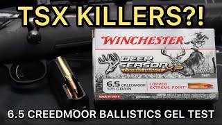 BARNES TSX KILLERS 65 Creedmoor Winchester Copper Impact 125gr Ammo Test [upl. by Odracer]