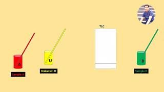 Thin Layer Chromatography TLC Animation [upl. by Aliehs]