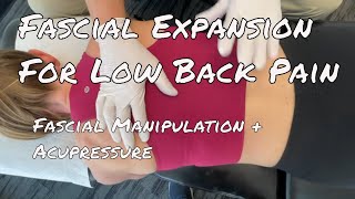 Fascial Expansion MSR Low Back Protocol [upl. by Amihsat]