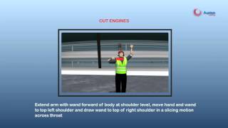 Aurion Learning  Headset And Marshalling Training Program [upl. by Terr]