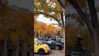 Downtown Saskatoon Canada fallvibes [upl. by Fleisig165]