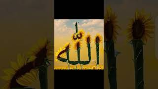 Tara kram ki kia bat mola2024 unfreezchannel viralvideo islamictodaynew [upl. by Aires]