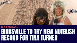 Birdsville Attempts New Nutbush Record To Honour Tina Turner [upl. by Nosdivad]