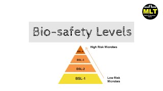 Biosafety Level 1 2 3 4 in hindi  Biosafety level easy explanation [upl. by Tewfik184]