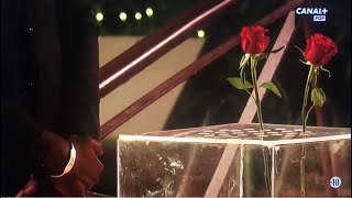 🌹la cérémonie de la remise des roses 🌹 épisode 8 complet  bachelor saison 3 Afrique [upl. by Saylor]