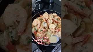 Lunch Time creamy garlic shrimp [upl. by Ecirtram]