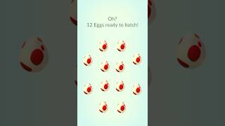 Will I Finally Get Shiny Sandile  12 12km egg hatch  Ep03 pokemongoshorts pokemongo pokemonegg [upl. by Gilburt839]