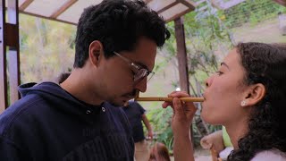 Mi experiencia con ayahuasca en Caracas [upl. by Cerveny515]