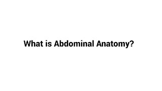 What is Abdominal Anatomy [upl. by Zicarelli]