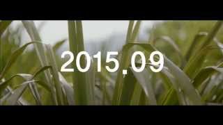 더샘 하라케케 티저 광고 theSAEM Harakeke 201509Teaser [upl. by Hercules]