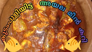 കുടം പുളി ഇട്ട മീൻ കറി🐠🤤 [upl. by Chilton325]