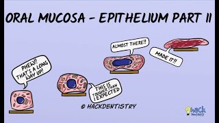 Oral Mucosa  Keratinized and Nonkeratinized epithelium [upl. by Philana]