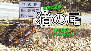 GIANT TCR ADVANCED 1 DISC KOM で行く 猪の尾 豊茂の激坂 愛媛県大洲市 [upl. by Irwin]