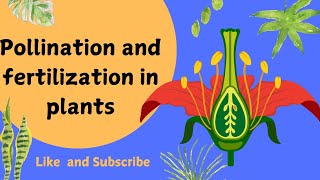 Pollination and Fertilization in Plants  Parts of a Flower Plant ReproductionLearninglounge209 [upl. by Petronella]