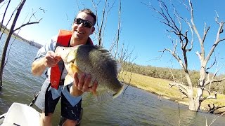 Australian Yellowbelly Championships  Round 3 Burrendong [upl. by Wane]