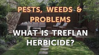 What Is Treflan Herbicide [upl. by Jules465]