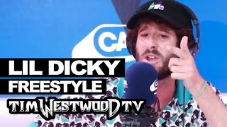 Lil Dicky freestyle  Westwood [upl. by Elletnuahs]