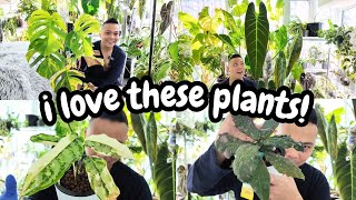 NEW plant growth 🌱 amp NEW camera 🎥  watering moss poles updates  philodendron monstera hoya [upl. by Nylak]