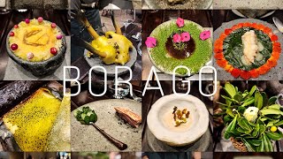 Boragó Santiagos Culinary Masterpiece  Best Restaurant in Chile 2023  29th best in the World [upl. by Ubana]