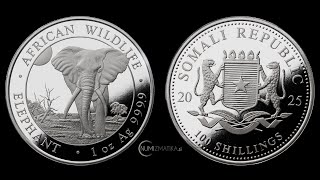 Somalia 100 Schillings 2025  1oz 9999 Ag ST  African Wildlife  ELEPHANT [upl. by Graf]