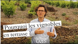 Pourquoi les vignobles en terrasse   La minute Cazes 37 [upl. by Eelymmij444]