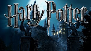 Harry Potter  Hogwarts Gate  Music amp Ambience 4k [upl. by Wallack691]