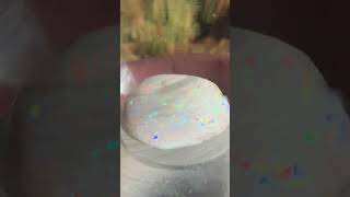 Precious Gem Opalized Shell from Coober Pedy South Australia [upl. by Sokul863]