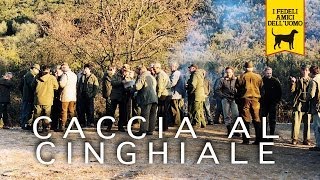 CACCIA AL CINGHIALE trailer documentario [upl. by Hugues]