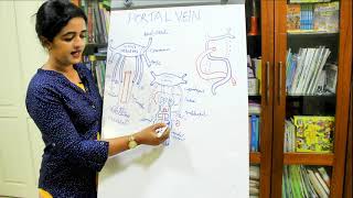 DEVELOPMENT OF THE PORTAL VEINEMBRYOLOGYDR ROSE JOSE MD [upl. by Netsirc807]