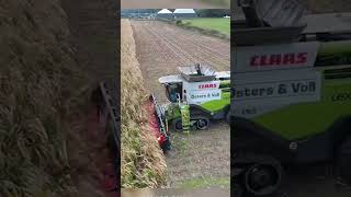 CLAAS село сельскоехозяйство мтз деревня трактор farming агро youtube [upl. by Aivila]