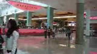 Mall at Millenia y TARGET [upl. by Hoxsie]