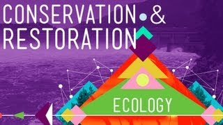 Conservation and Restoration Ecology Crash Course Ecology 12 [upl. by Ahcirt]