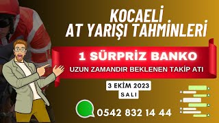 3 Ekim 2023 Salı Kocaeli At Yarışı Tahminleri [upl. by Enyrehtak]