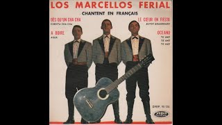 Cuenta Cha Cha  Los Marcellos Ferial [upl. by Herries]