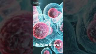 The Science of Cellular Regeneration Discover the Facts [upl. by Bezanson]