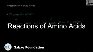 Reactions of Amino Acids Chemistry Lecture  Sabaqpk [upl. by Anairuy921]