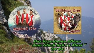 Wildbach Trio  Zum Glück hab i a Musi [upl. by Lleret]