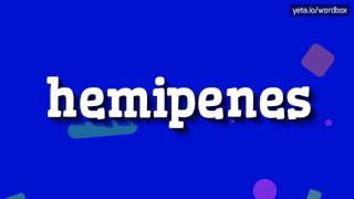 HEMIPENES  HOW TO PRONOUNCE IT [upl. by Crist]