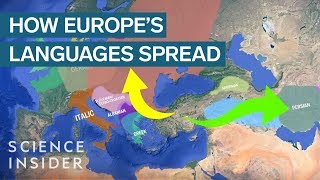 How IndoEuropean Languages Evolved [upl. by Aksoyn998]