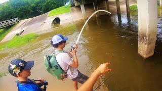 MONSTER CATFISH from a FLOODED CITY CREEK [upl. by Marney]