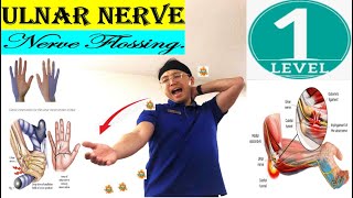 Major Exercise of Ulnar Nerve Flossing GlidingUlnar NeuropathyCervical Radiculopathy  Level 1 [upl. by Josefa]